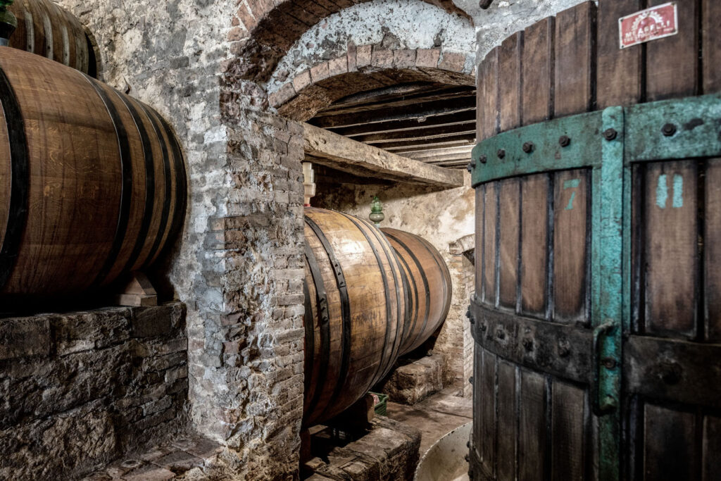 Servizio fotografico per una azienda vitivinicola toscana 6PM STUDIO-[+post_title+]